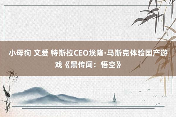 小母狗 文爱 特斯拉CEO埃隆·马斯克体验国产游戏《黑传闻：悟空》