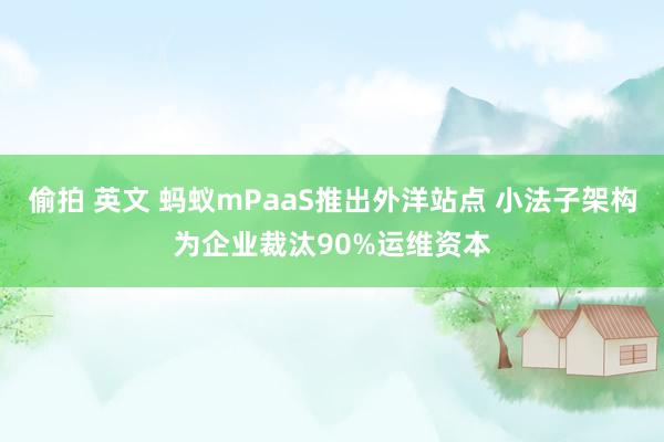 偷拍 英文 蚂蚁mPaaS推出外洋站点 小法子架构为企业裁汰90%运维资本