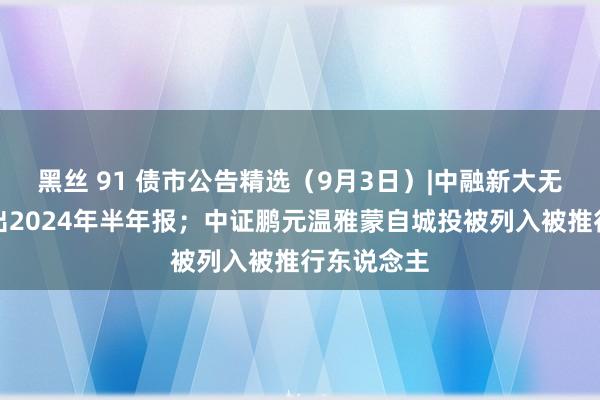 黑丝 91 债市公告精选（9月3日）|中融新大无法按时露出2024年半年报；中证鹏元温雅蒙自城投被列入被推行东说念主