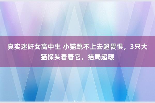 真实迷奸女高中生 小猫跳不上去超畏惧，3只大猫探头看着它，结局超暖