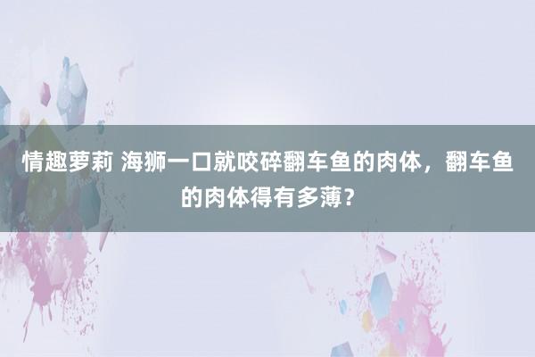 情趣萝莉 海狮一口就咬碎翻车鱼的肉体，翻车鱼的肉体得有多薄？