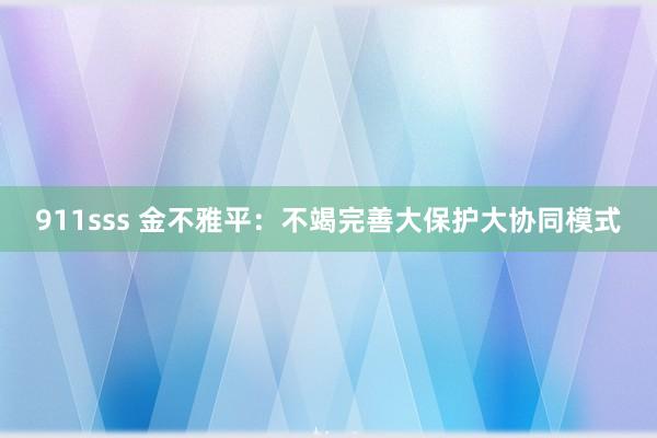 911sss 金不雅平：不竭完善大保护大协同模式