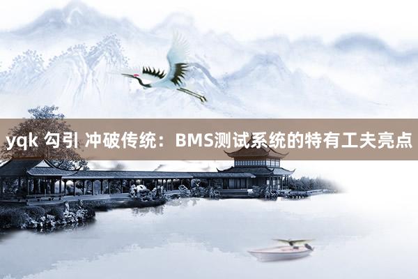 yqk 勾引 冲破传统：BMS测试系统的特有工夫亮点