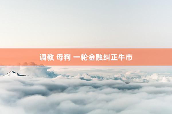 调教 母狗 一轮金融纠正牛市