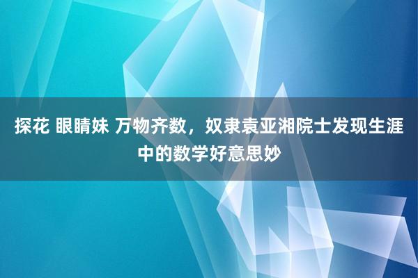 探花 眼睛妹 万物齐数，奴隶袁亚湘院士发现生涯中的数学好意思妙