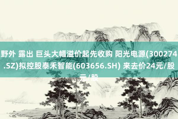 野外 露出 巨头大幅溢价起先收购 阳光电源(300274.SZ)拟控股泰禾智能(603656.SH) 来去价24元/股