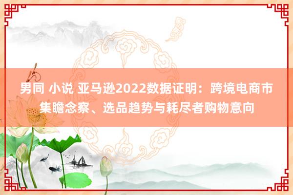 男同 小说 亚马逊2022数据证明：跨境电商市集瞻念察、选品趋势与耗尽者购物意向