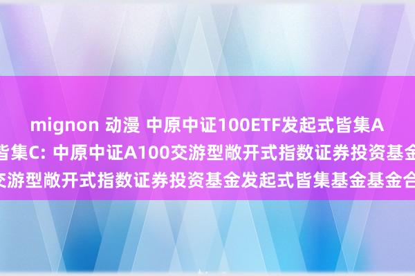 mignon 动漫 中原中证100ETF发起式皆集A,中原中证100ETF发起式皆集C: 中原中证A100交游型敞开式指数证券投资基金发起式皆集基金基金合同