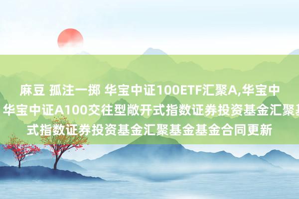 麻豆 孤注一掷 华宝中证100ETF汇聚A，华宝中证100ETF汇聚C: 华宝中证A100交往型敞开式指数证券投资基金汇聚基金基金合同更新