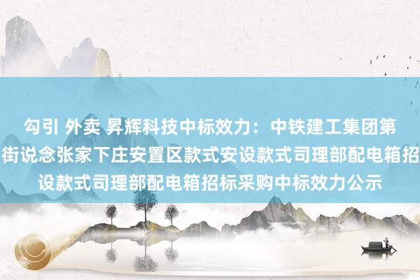 勾引 外卖 昇辉科技中标效力：中铁建工集团第二开辟有限公司中韩街说念张家下庄安置区款式安设款式司理部配电箱招标采购中标效力公示