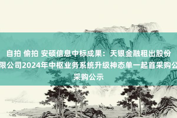 自拍 偷拍 安硕信息中标成果：天银金融租出股份有限公司2024年中枢业务系统升级神态单一起首采购公示