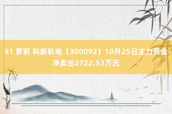 91 萝莉 科新机电（300092）10月25日主力资金净卖出2722.53万元