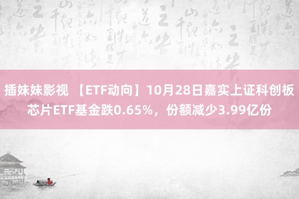 插妹妹影视 【ETF动向】10月28日嘉实上证科创板芯片ETF基金跌0.65%，份额减少3.99亿份