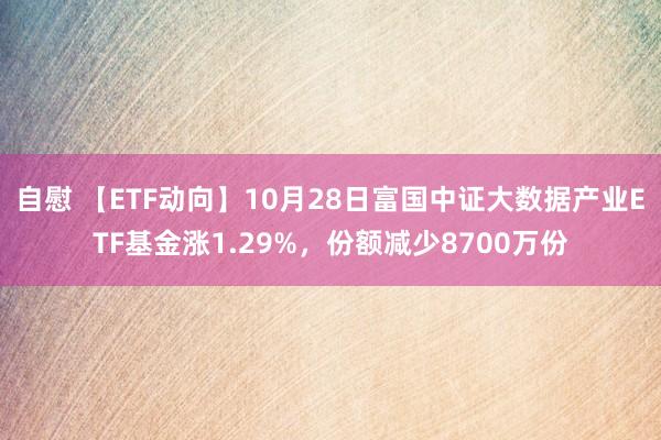 自慰 【ETF动向】10月28日富国中证大数据产业ETF基金涨1.29%，份额减少8700万份