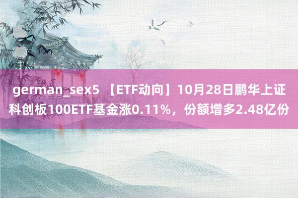 german_sex5 【ETF动向】10月28日鹏华上证科创板100ETF基金涨0.11%，份额增多2.48亿份