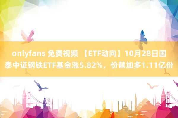 onlyfans 免费视频 【ETF动向】10月28日国泰中证钢铁ETF基金涨5.82%，份额加多1.11亿份