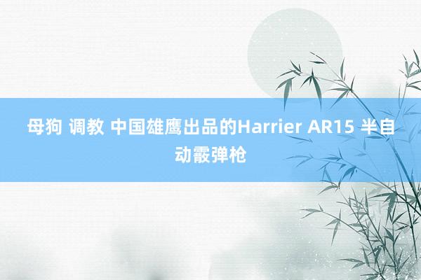 母狗 调教 中国雄鹰出品的Harrier AR15 半自动霰弹枪