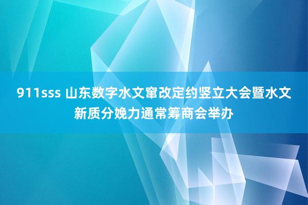 911sss 山东数字水文窜改定约竖立大会暨水文新质分娩力通常筹商会举办