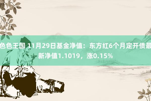 色色王国 11月29日基金净值：东方红6个月定开债最新净值1.1019，涨0.15%