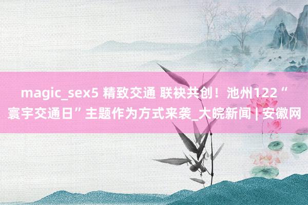 magic_sex5 精致交通 联袂共创！池州122“寰宇交通日”主题作为方式来袭_大皖新闻 | 安徽网