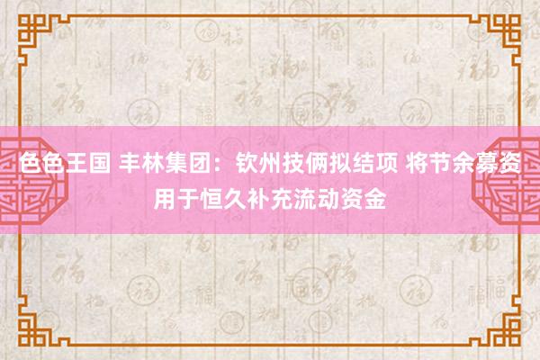 色色王国 丰林集团：钦州技俩拟结项 将节余募资用于恒久补充流动资金