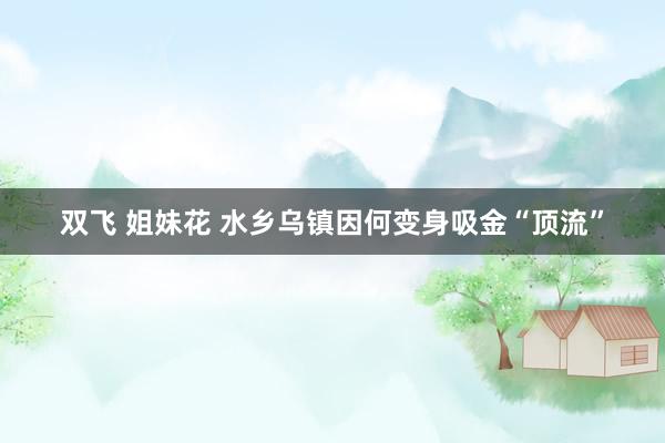 双飞 姐妹花 水乡乌镇因何变身吸金“顶流”