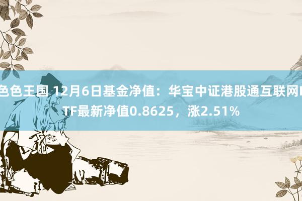 色色王国 12月6日基金净值：华宝中证港股通互联网ETF最新净值0.8625，涨2.51%