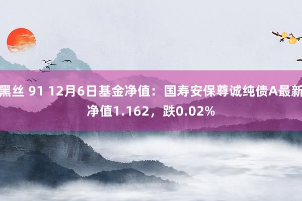 黑丝 91 12月6日基金净值：国寿安保尊诚纯债A最新净值1.162，跌0.02%