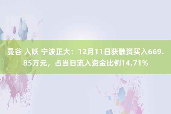 曼谷 人妖 宁波正大：12月11日获融资买入669.85万元，占当日流入资金比例14.71%