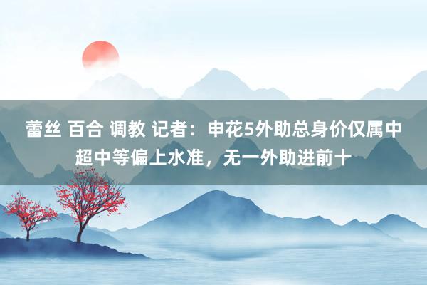 蕾丝 百合 调教 记者：申花5外助总身价仅属中超中等偏上水准，无一外助进前十