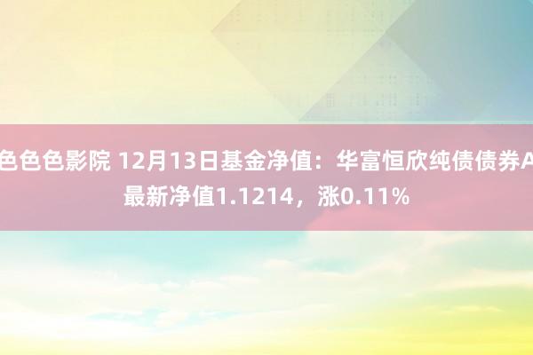 色色色影院 12月13日基金净值：华富恒欣纯债债券A最新净值1.1214，涨0.11%