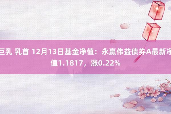 巨乳 乳首 12月13日基金净值：永赢伟益债券A最新净值1.1817，涨0.22%