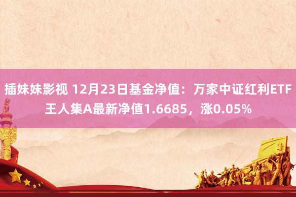 插妹妹影视 12月23日基金净值：万家中证红利ETF王人集A最新净值1.6685，涨0.05%