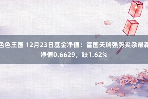 色色王国 12月23日基金净值：富国天瑞强势夹杂最新净值0.6629，跌1.62%