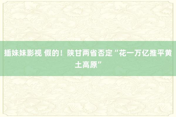 插妹妹影视 假的！陕甘两省否定“花一万亿推平黄土高原”