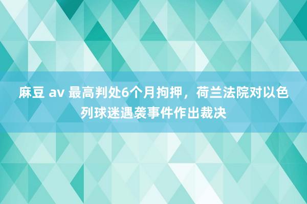 麻豆 av 最高判处6个月拘押，荷兰法院对以色列球迷遇袭事件作出裁决