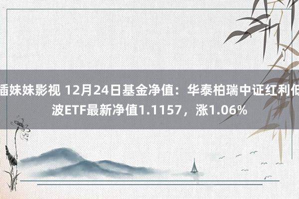 插妹妹影视 12月24日基金净值：华泰柏瑞中证红利低波ETF最新净值1.1157，涨1.06%