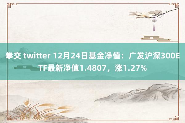 拳交 twitter 12月24日基金净值：广发沪深300ETF最新净值1.4807，涨1.27%