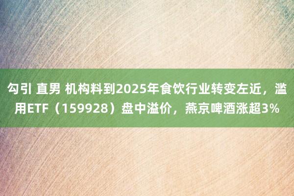 勾引 直男 机构料到2025年食饮行业转变左近，滥用ETF（159928）盘中溢价，燕京啤酒涨超3%