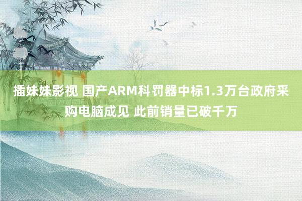 插妹妹影视 国产ARM科罚器中标1.3万台政府采购电脑成见 此前销量已破千万