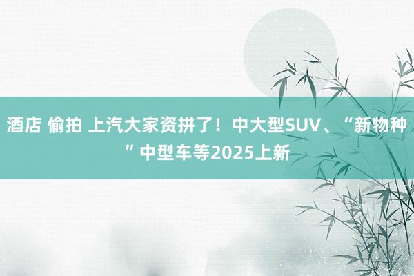 酒店 偷拍 上汽大家资拼了！中大型SUV、“新物种”中型车等2025上新