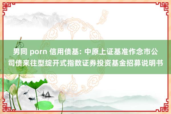 男同 porn 信用债基: 中原上证基准作念市公司债来往型绽开式指数证券投资基金招募说明书