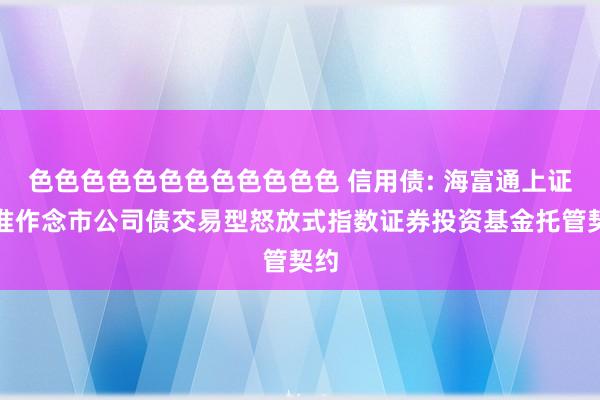 色色色色色色色色色色色色 信用债: 海富通上证基准作念市公司债交易型怒放式指数证券投资基金托管契约