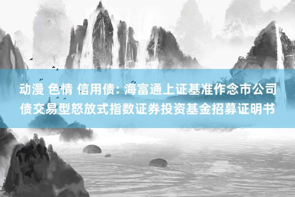 动漫 色情 信用债: 海富通上证基准作念市公司债交易型怒放式指数证券投资基金招募证明书