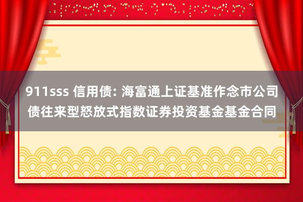 911sss 信用债: 海富通上证基准作念市公司债往来型怒放式指数证券投资基金基金合同