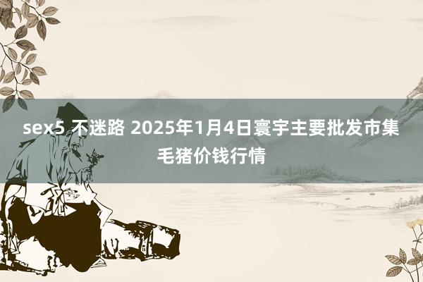 sex5 不迷路 2025年1月4日寰宇主要批发市集毛猪价钱行情