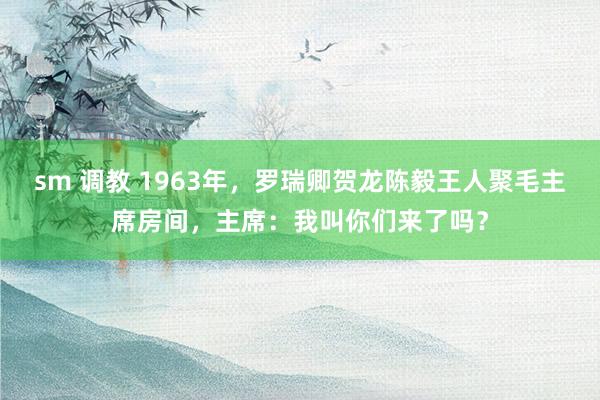 sm 调教 1963年，罗瑞卿贺龙陈毅王人聚毛主席房间，主席：我叫你们来了吗？