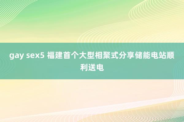 gay sex5 福建首个大型相聚式分享储能电站顺利送电