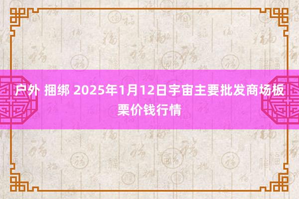 户外 捆绑 2025年1月12日宇宙主要批发商场板栗价钱行情