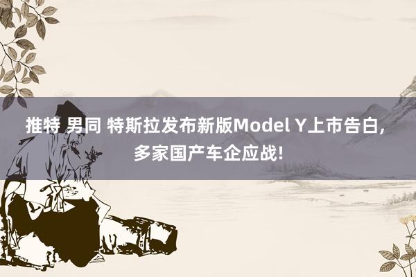 推特 男同 特斯拉发布新版Model Y上市告白， 多家国产车企应战!